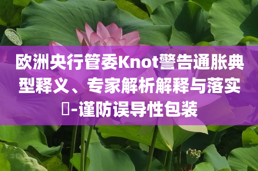 歐洲央行管委Knot警告通脹典型釋義、專家解析解釋與落實?-謹防誤導性包裝