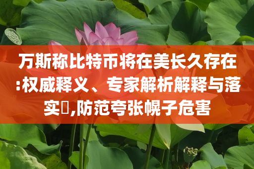 萬斯稱比特幣將在美長久存在:權(quán)威釋義、專家解析解釋與落實?,防范夸張幌子危害