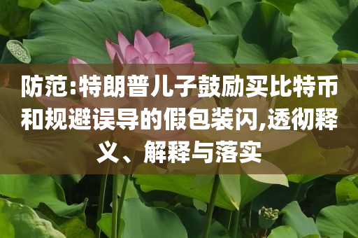 防范:特朗普兒子鼓勵買比特幣和規(guī)避誤導(dǎo)的假包裝閃,透徹釋義、解釋與落實