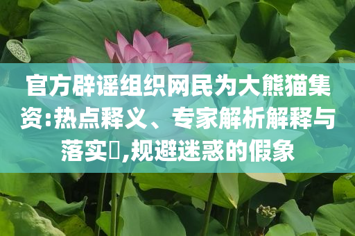 官方辟謠組織網(wǎng)民為大熊貓集資:熱點(diǎn)釋義、專家解析解釋與落實(shí)?,規(guī)避迷惑的假象