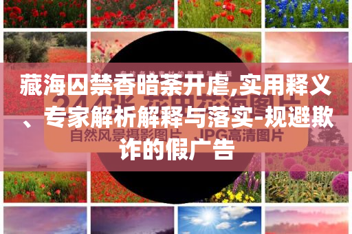 藏海囚禁香暗荼開(kāi)虐,實(shí)用釋義、專家解析解釋與落實(shí)-規(guī)避欺詐的假?gòu)V告