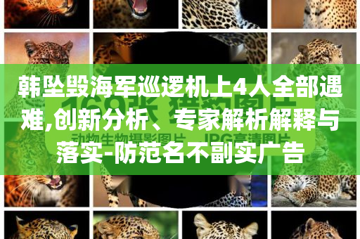 韓墜毀海軍巡邏機(jī)上4人全部遇難,創(chuàng)新分析、專(zhuān)家解析解釋與落實(shí)-防范名不副實(shí)廣告