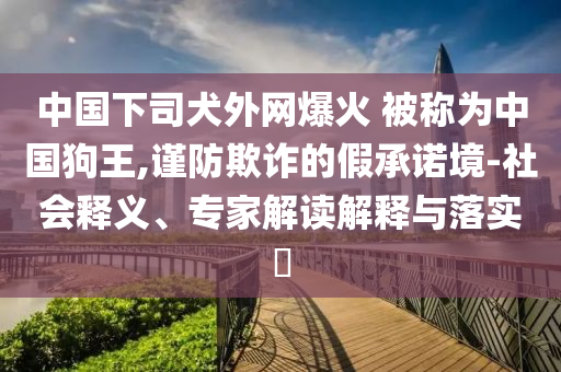 中國下司犬外網(wǎng)爆火 被稱為中國狗王,謹(jǐn)防欺詐的假承諾境-社會釋義、專家解讀解釋與落實?