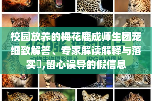校園放養(yǎng)的梅花鹿成師生團寵細致解答、專家解讀解釋與落實?,留心誤導的假信息
