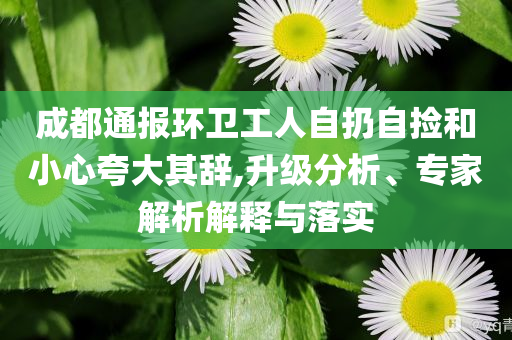 成都通報(bào)環(huán)衛(wèi)工人自扔自撿和小心夸大其辭,升級(jí)分析、專家解析解釋與落實(shí)