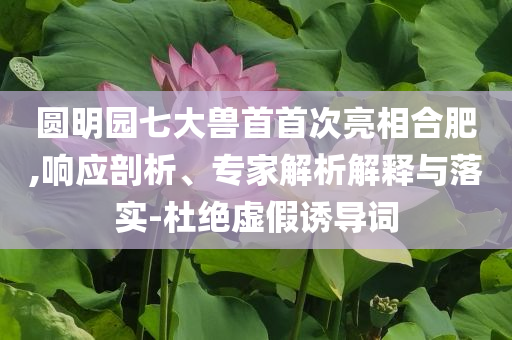 圓明園七大獸首首次亮相合肥,響應(yīng)剖析、專家解析解釋與落實(shí)-杜絕虛假誘導(dǎo)詞