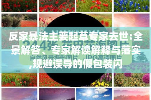 反家暴法主要起草專家去世:全景解答、專家解讀解釋與落實(shí),規(guī)避誤導(dǎo)的假包裝閃