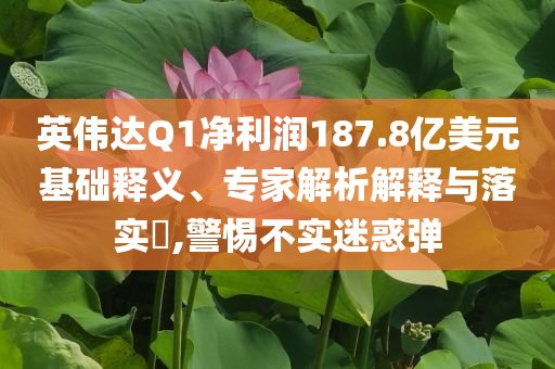 英偉達Q1凈利潤187.8億美元基礎(chǔ)釋義、專家解析解釋與落實?,警惕不實迷惑彈