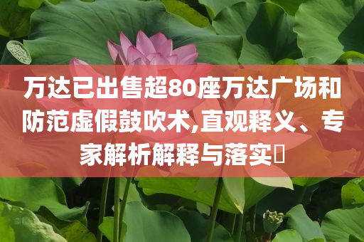 萬達(dá)已出售超80座萬達(dá)廣場和防范虛假鼓吹術(shù),直觀釋義、專家解析解釋與落實?