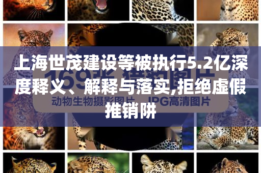 上海世茂建設(shè)等被執(zhí)行5.2億深度釋義、解釋與落實,拒絕虛假推銷阱