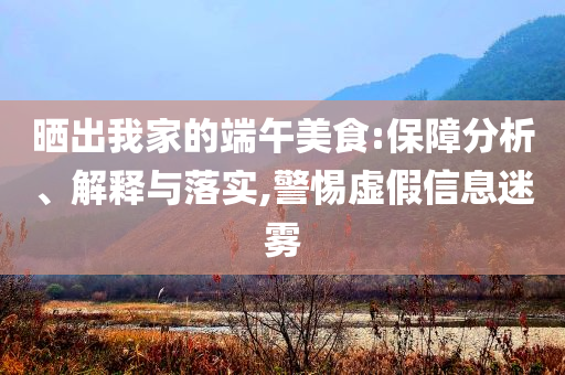 曬出我家的端午美食:保障分析、解釋與落實(shí),警惕虛假信息迷霧