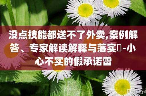 沒點技能都送不了外賣,案例解答、專家解讀解釋與落實?-小心不實的假承諾雷
