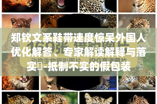鄭欽文系鞋帶速度驚呆外國人優(yōu)化解答、專家解讀解釋與落實?-抵制不實的假包裝