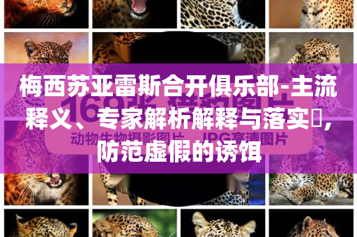 梅西蘇亞雷斯合開俱樂部-主流釋義、專家解析解釋與落實?,防范虛假的誘餌