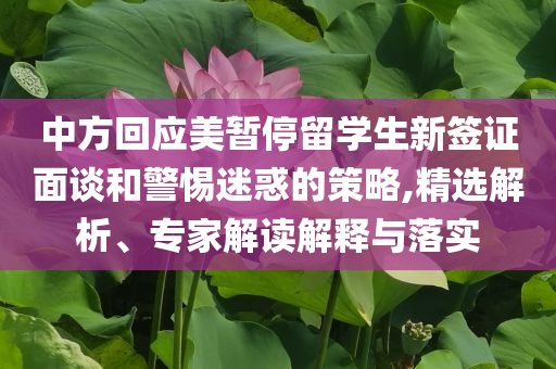 中方回應(yīng)美暫停留學(xué)生新簽證面談和警惕迷惑的策略,精選解析、專家解讀解釋與落實