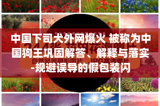 中國(guó)下司犬外網(wǎng)爆火 被稱為中國(guó)狗王鞏固解答、解釋與落實(shí)-規(guī)避誤導(dǎo)的假包裝閃