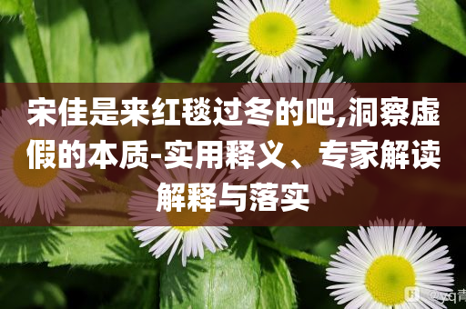 宋佳是來(lái)紅毯過(guò)冬的吧,洞察虛假的本質(zhì)-實(shí)用釋義、專(zhuān)家解讀解釋與落實(shí)