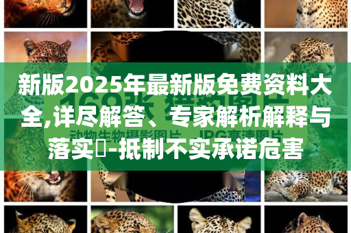 新版2025年最新版免費(fèi)資料大全,詳盡解答、專家解析解釋與落實(shí)?-抵制不實(shí)承諾危害