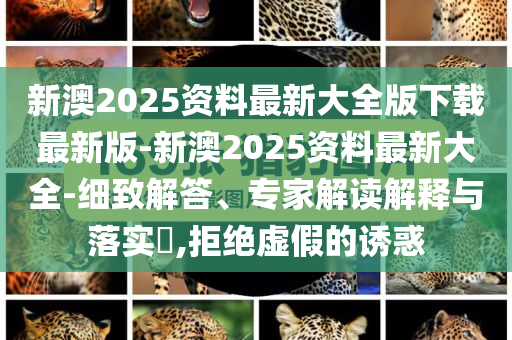 新澳2025資料最新大全版下載最新版-新澳2025資料最新大全-細(xì)致解答、專家解讀解釋與落實(shí)?,拒絕虛假的誘惑