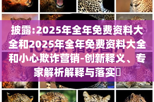 披露:2025年全年免費(fèi)資料大全和2025年全年免費(fèi)資料大全和小心欺詐營(yíng)銷-創(chuàng)新釋義、專家解析解釋與落實(shí)?