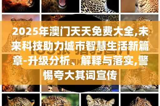 2025年澳門天天免費大全,未來科技助力城市智慧生活新篇章-升級分析、解釋與落實,警惕夸大其詞宣傳