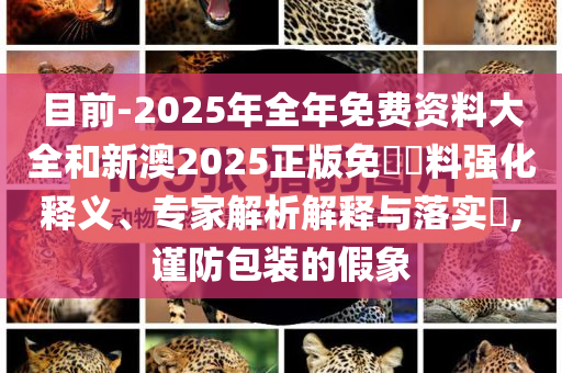 目前-2025年全年免費資料大全和新澳2025正版免費資料強化釋義、專家解析解釋與落實?,謹(jǐn)防包裝的假象