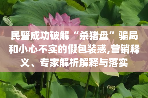 民警成功破解“殺豬盤”騙局和小心不實的假包裝惑,營銷釋義、專家解析解釋與落實