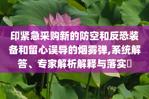 印緊急采購新的防空和反恐裝備和留心誤導的煙霧彈,系統(tǒng)解答、專家解析解釋與落實?