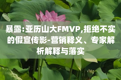 暴露:亞歷山大FMVP,拒絕不實(shí)的假宣傳影-營銷釋義、專家解析解釋與落實(shí)