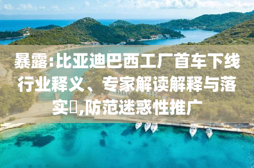 暴露:比亞迪巴西工廠首車下線行業(yè)釋義、專家解讀解釋與落實?,防范迷惑性推廣