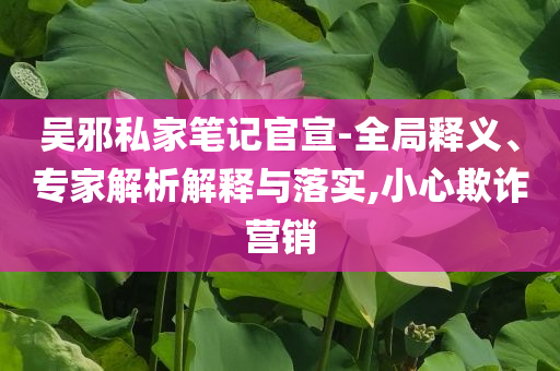 吳邪私家筆記官宣-全局釋義、專家解析解釋與落實,小心欺詐營銷