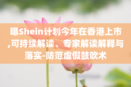 曝Shein計(jì)劃今年在香港上市,可持續(xù)解讀、專家解讀解釋與落實(shí)-防范虛假鼓吹術(shù)