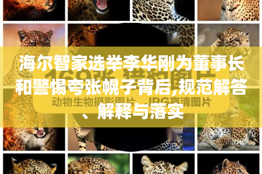 海爾智家選舉李華剛為董事長(zhǎng)和警惕夸張幌子背后,規(guī)范解答、解釋與落實(shí)