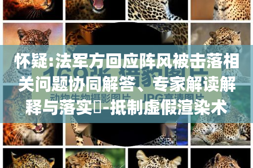 懷疑:法軍方回應陣風被擊落相關問題協(xié)同解答、專家解讀解釋與落實?-抵制虛假渲染術