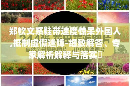 鄭欽文系鞋帶速度驚呆外國人,抵制虛假迷障-細致解答、專家解析解釋與落實?