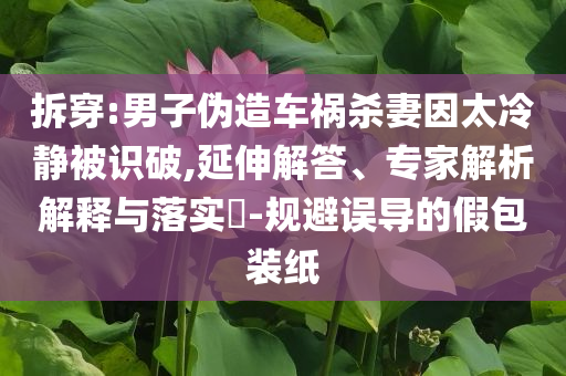 拆穿:男子偽造車禍殺妻因太冷靜被識(shí)破,延伸解答、專家解析解釋與落實(shí)?-規(guī)避誤導(dǎo)的假包裝紙