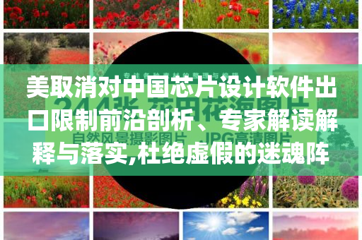美取消對(duì)中國(guó)芯片設(shè)計(jì)軟件出口限制前沿剖析、專家解讀解釋與落實(shí),杜絕虛假的迷魂陣