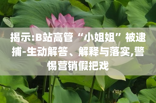 揭示:B站高管“小姐姐”被逮捕-生動解答、解釋與落實,警惕營銷假把戲