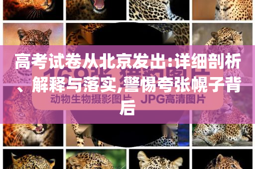 2025年7月3日 第16頁(yè)