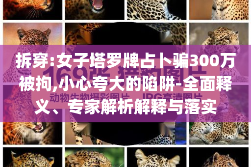 拆穿:女子塔羅牌占卜騙300萬被拘,小心夸大的陷阱-全面釋義、專家解析解釋與落實(shí)