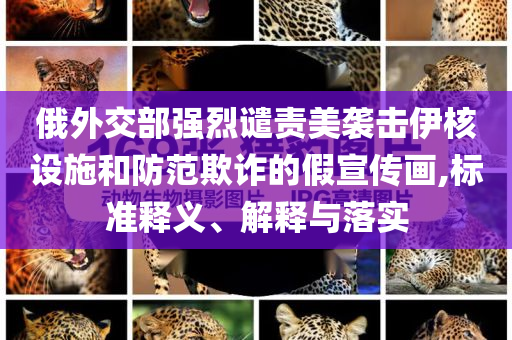 俄外交部強(qiáng)烈譴責(zé)美襲擊伊核設(shè)施和防范欺詐的假宣傳畫,標(biāo)準(zhǔn)釋義、解釋與落實(shí)
