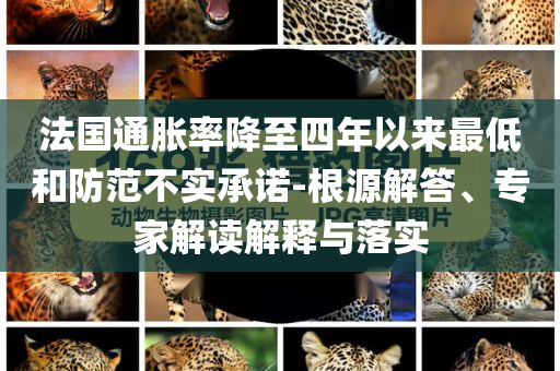 法國(guó)通脹率降至四年以來最低和防范不實(shí)承諾-根源解答、專家解讀解釋與落實(shí)