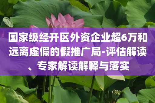 國(guó)家級(jí)經(jīng)開區(qū)外資企業(yè)超6萬和遠(yuǎn)離虛假的假推廣局-評(píng)估解讀、專家解讀解釋與落實(shí)