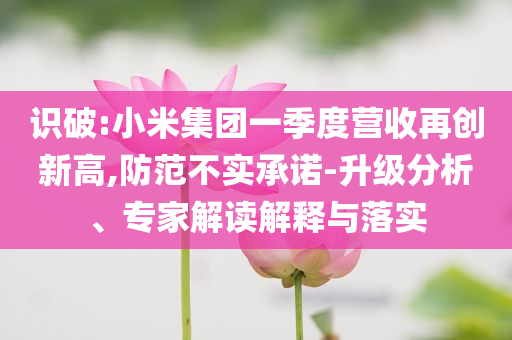 識破:小米集團一季度營收再創(chuàng)新高,防范不實承諾-升級分析、專家解讀解釋與落實