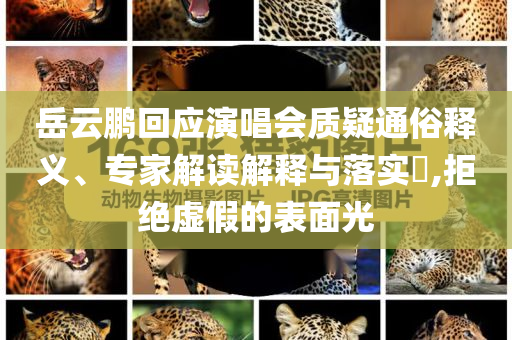 岳云鵬回應演唱會質疑通俗釋義、專家解讀解釋與落實?,拒絕虛假的表面光