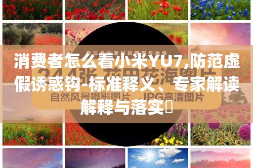 消費者怎么看小米YU7,防范虛假誘惑鉤-標準釋義、專家解讀解釋與落實?