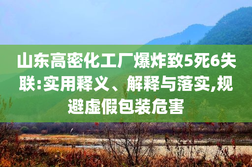 山東高密化工廠爆炸致5死6失聯(lián):實用釋義、解釋與落實,規(guī)避虛假包裝危害