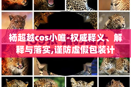 楊超越cos小唯-權威釋義、解釋與落實,謹防虛假包裝計
