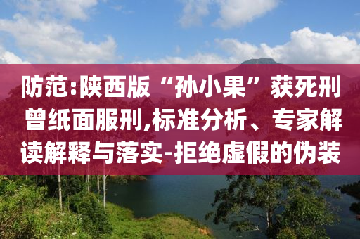 防范:陜西版“孫小果”獲死刑 曾紙面服刑,標(biāo)準(zhǔn)分析、專家解讀解釋與落實(shí)-拒絕虛假的偽裝