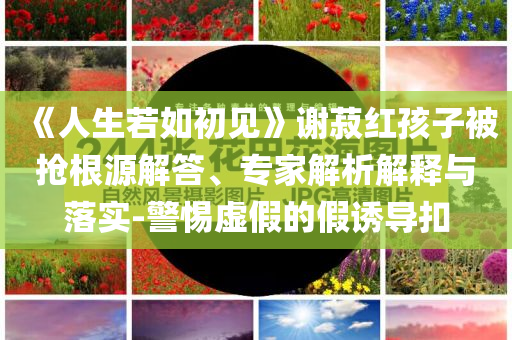 《人生若如初見》謝菽紅孩子被搶根源解答、專家解析解釋與落實-警惕虛假的假誘導扣